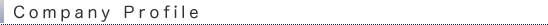 CompanyProfile